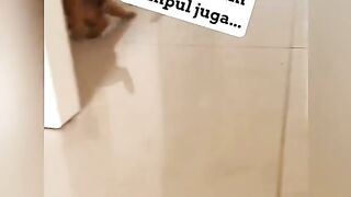 Video lucu part 1 2