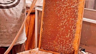 I will share this honey with those of you who subscribe