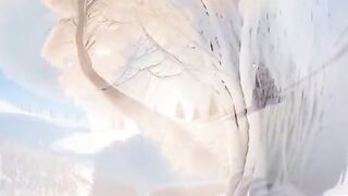 Beatiful relaxing Nature