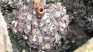Crab fishing