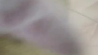 story upon a time of kitty cats