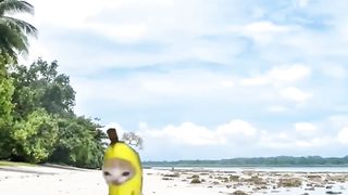 Banana Cat Story - saves HappiCat