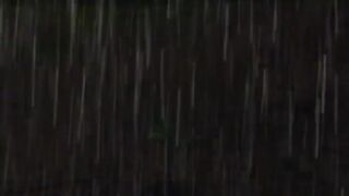 Banana Cat Story - Plant Trees