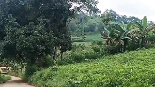 Untuk Para Istri