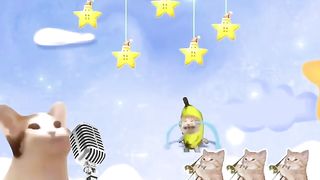 Happi Cat - Happy Song