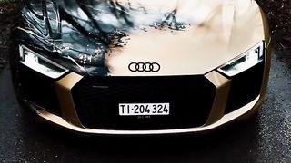 audi r8 car paint idea