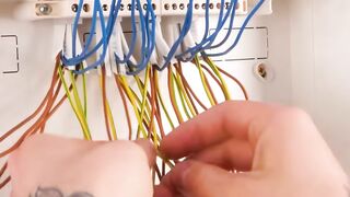 How to organize your cables. Satisfying video #shorts