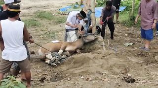 Kurban adalah Keyakinan