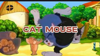 CAT MOUSE