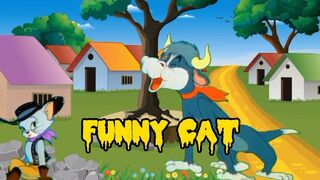 FUNNY CAT