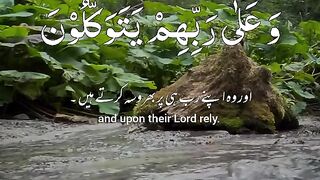Tilawat e Quran e pak video watch and subscribe to my channel