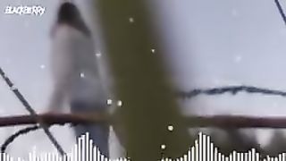 Mucic arabix 2023