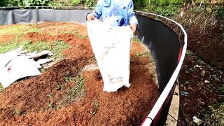 ternyata begini proses awal seting terpal kolam bioflok nila, banyak hal yang harus kita perhatikan TILAPIA