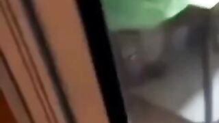 a cat that has lost its identity