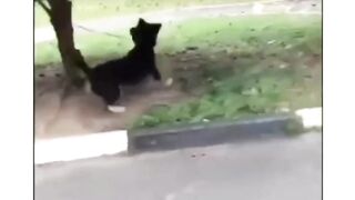 Jadi panik dah