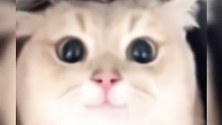 ???? so Cute ahhh ????????