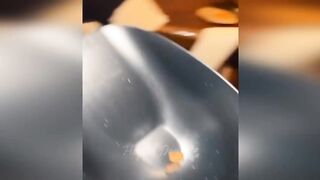 Funny animals - Funny cats and dogs - Funny animal videos 273