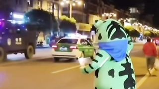 Frog Muscle