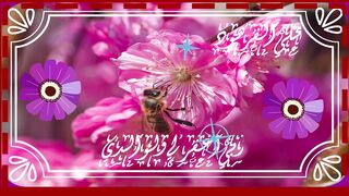 قران الكريم من اجمل الاصوات 2