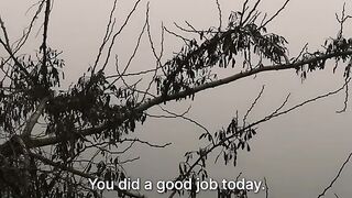 Have a wonderful