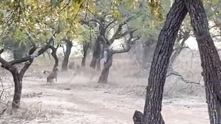Mind Blowing Moments