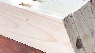 Discover the Exquisite Charm of a Unique Coffee Table with Dried Wooden | Enchanting Coffee Table with Dried Wooden Design