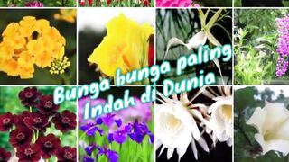 flower 3