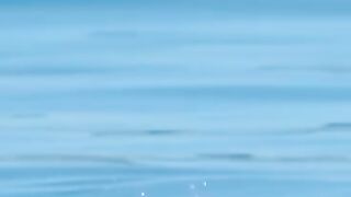 fish playing jumping out of water