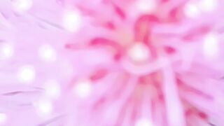 the most beautiful types of flowers in the world