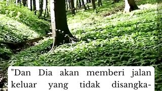 Motivasi islami Q.S At-Talaq : 65