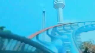 Funny cats Rollercoster..