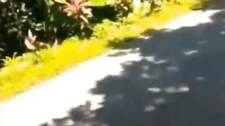 Laugh Out Loud Videos Part 4