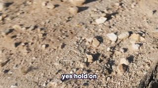ENCOUNTERING THE VELVET ANT part 1