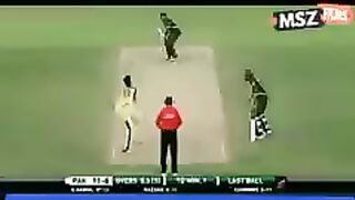 Cricket 51