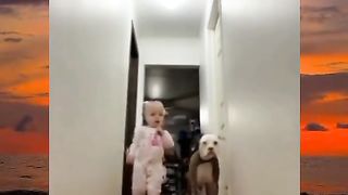 #dogfunny#animal#animalcute#