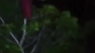 Penampakan 3
