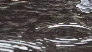 Apakah air hujan bisa diminum langsung?