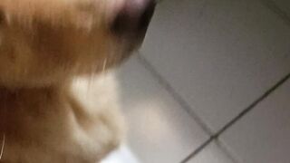 Give treats to my dog