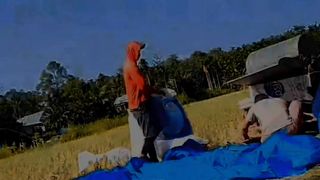 Hanya petani yang tau