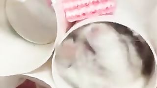 Hamster trying to get the candy on top.