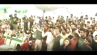 تاش کے پتے