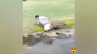 Random Funny Videos |Try Not To Laugh Compilation | Cute People And Animals Doing Funny Things 17