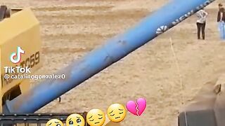 ТікТок 155