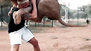 saut-de-lion.