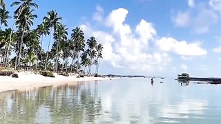 Praia dos Carneiros Pernambuco