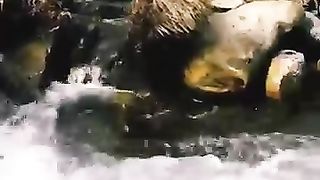 Beauty if water in stream