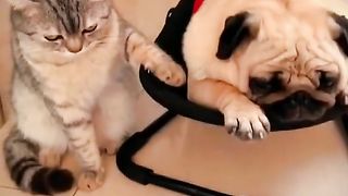 See video 2
