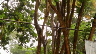 natural scenery when it rains in the afternoon