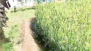Rice field 2