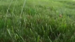 Cat adventure 6